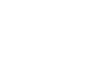 新唐人全世界華人美聲唱法聲樂大賽 標誌